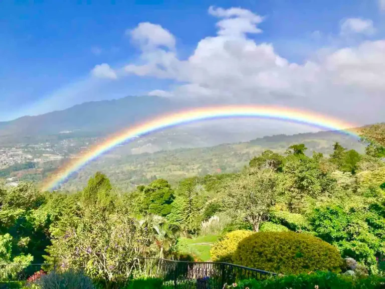 10a75d09 6515 4616 a0f7 52f1d023b302