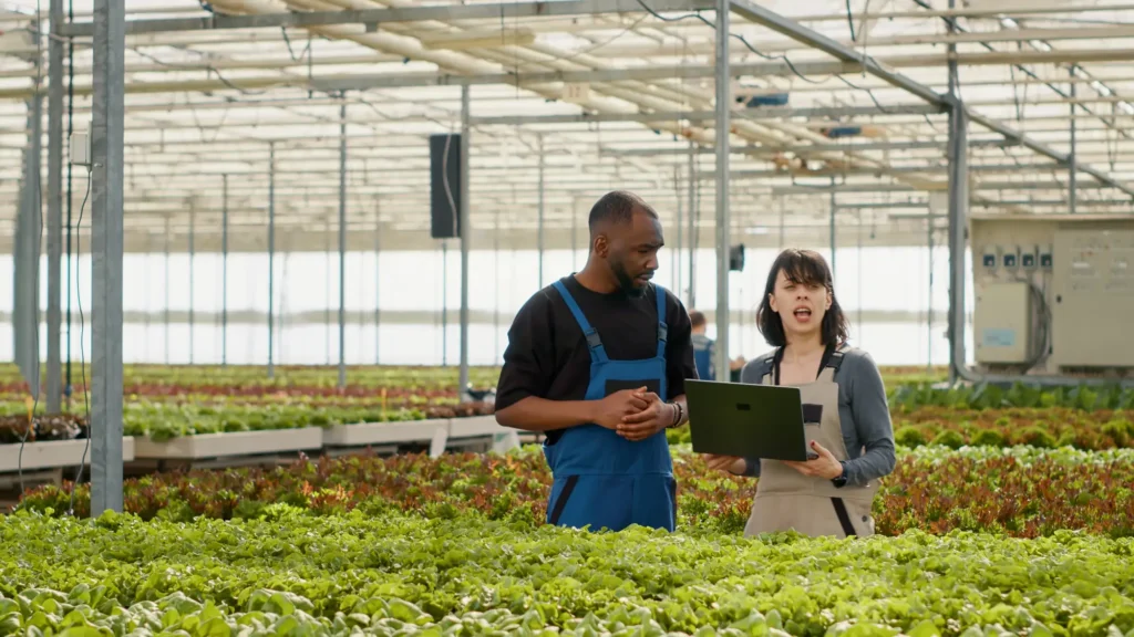Diverse organic farm workers using laptop manage online orders bio lettuce grown with no pesticides while coworkers move crates man woman using portable computer talking about agriculture