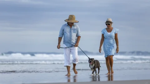 Beautiful shot couple beach with blue english stafford dog