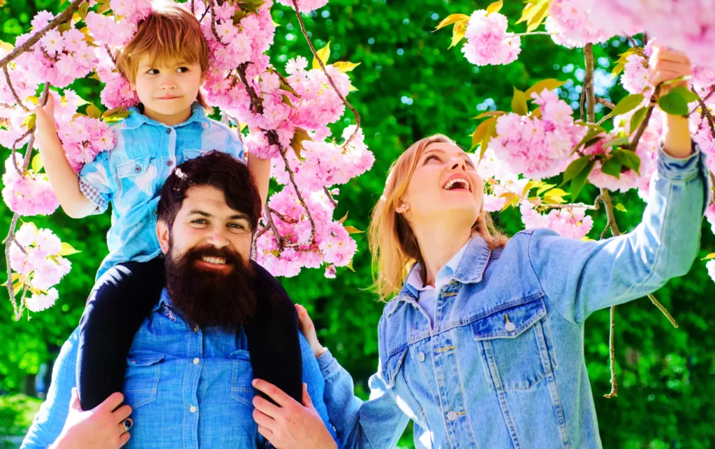 Happy family spring garden mother father small son together blooming sakura park happy