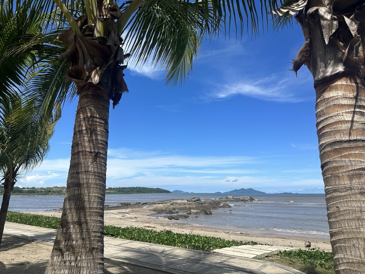 Beach and palm trees in Panama