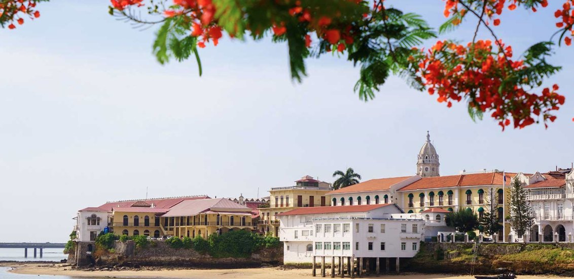 Casco Viejo waterfront in Panama City with a flowering tree