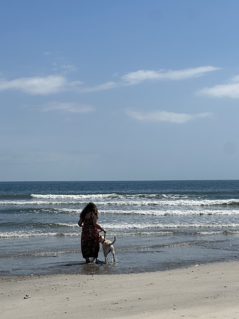 Woman walking her dog through the waves on a Panama beach